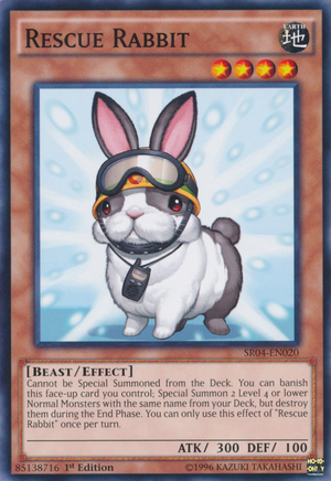 RescueRabbit-SR04-EN-C-1E