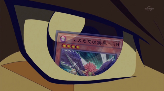 File:CrowDrawsBora.png