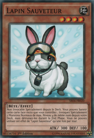 File:RescueRabbit-SR04-FR-C-1E.png