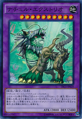 File:NaturiaExterio-TRC1-JP-SR.png