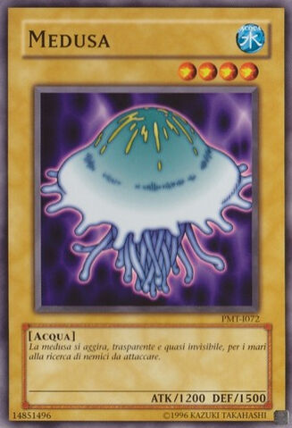 File:Jellyfish-PMT-IT-C-UE.jpg
