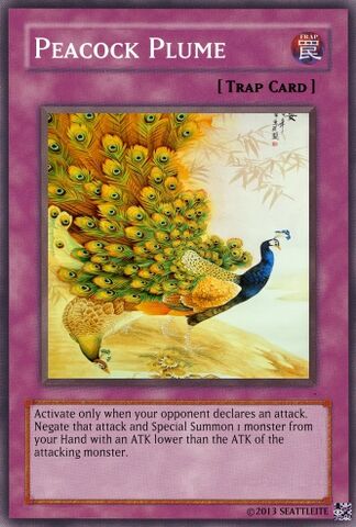 File:Peacock Plume.jpg