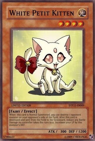File:White Petit Kitten.jpg