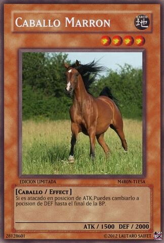 Archivo:Caballo Marron.jpg