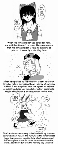 File:Eirin Yagokoro.png