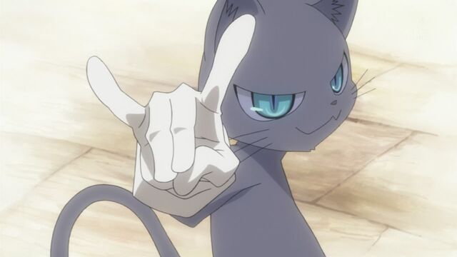 File:Black Cat.jpg