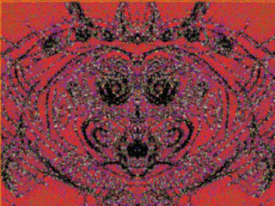 FACE.gif
