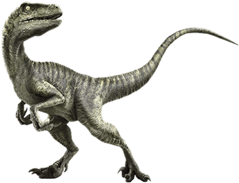 File:Charlie (Velociraptor).png
