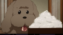 Makkachin-3.png