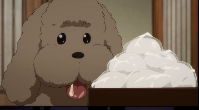 Archivo:Makkachin-3.png