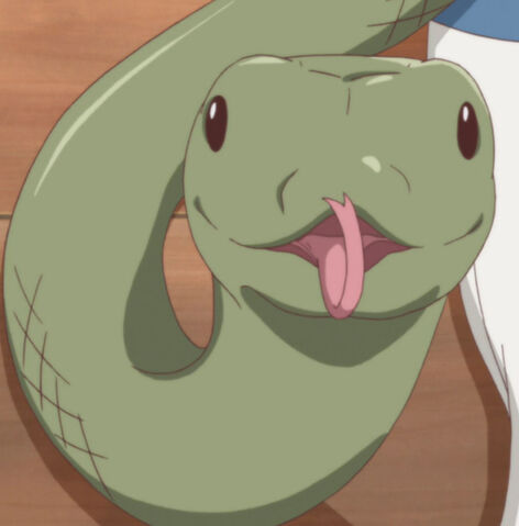 Datei:Hebi.jpg