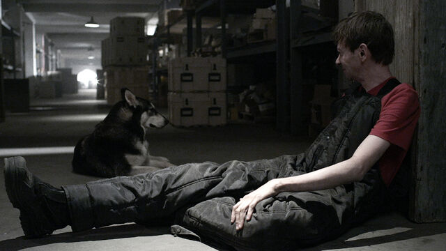 File:Dog.jpg