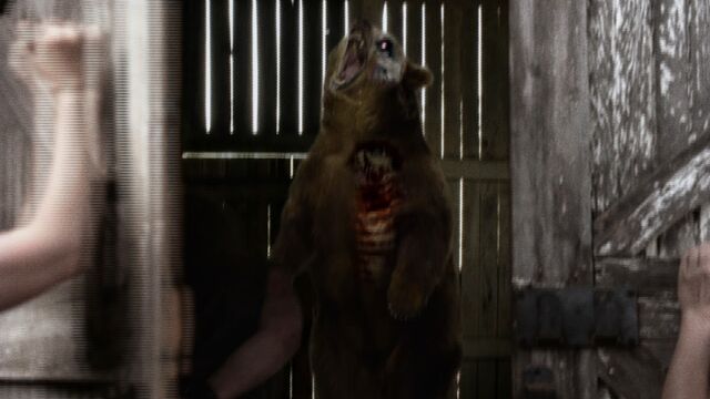 File:Zombear.jpg