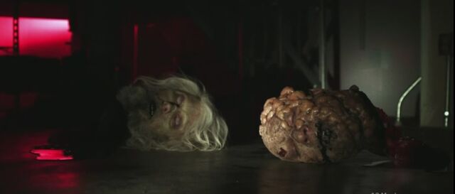 File:Head.jpg