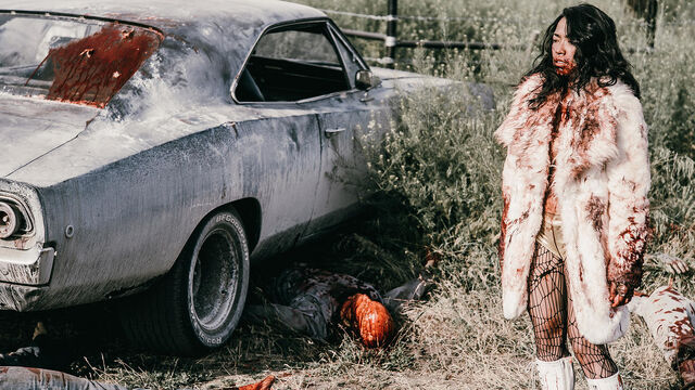 File:Zombie Road 017.jpg