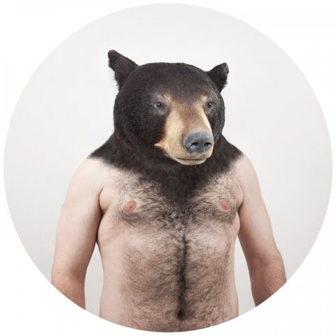 File:Bear.jpg