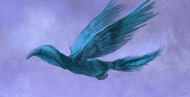 File:BIRD1.jpg