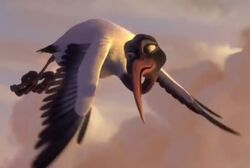 Ibis Pavi