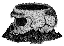 Gargyllian Bollogg's Skull