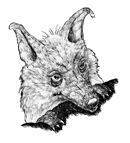 File:Colophonius Regenschein 02.jpg
