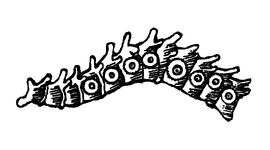 Rückgrat.png