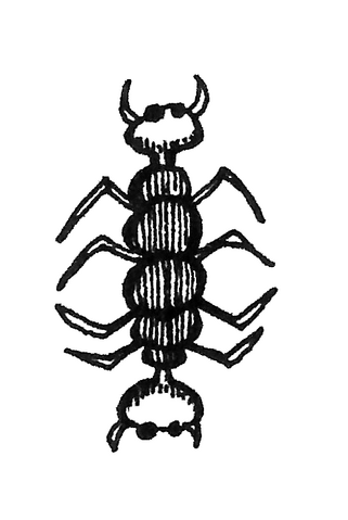 Datei:Zwillingstermite.png