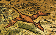 Rettungssaurier.png