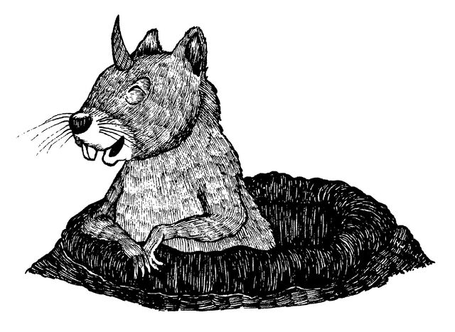 Datei:Einhörnchen.jpg