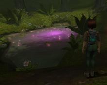 Healing lake