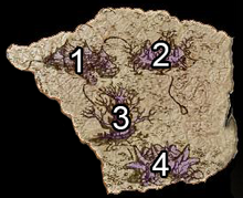 Misty swamp locations