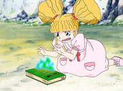 El libro de Yopopo es quemado