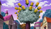 Árbol