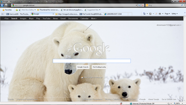 File:My google.png