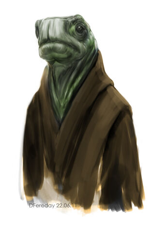 File:TurtleJedi dfereday.jpg