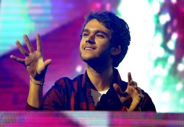 File:Zedd grabbing the air.jpg