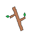 Palo Deku.png