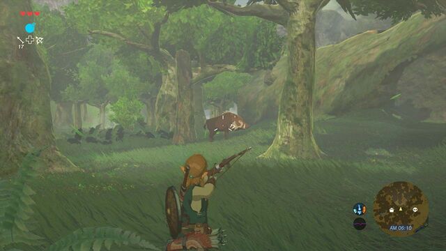 File:BreathOfTheWild-Screen22.jpg