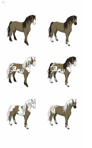 File:Sketch17117731.png