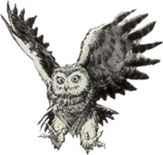 Owl Artwork 1 (Link's Awakening)