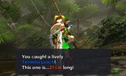 Majora's Mask 3D Termina Loach caught with the Standard Bobber Lure (Swamp Fishing Hole) zlCfzTbwiaQso0- J3