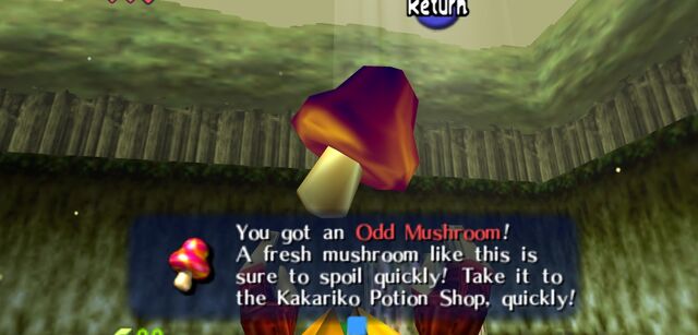 Fichier:Champignon ott.jpg