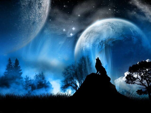 File:Wolf howling at moon.jpg