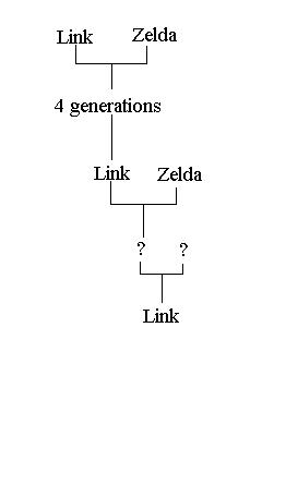 File:Link's generations.jpg