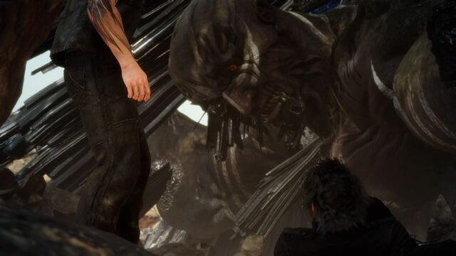 File:FF (1111).jpg