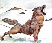 Fenrir wolf