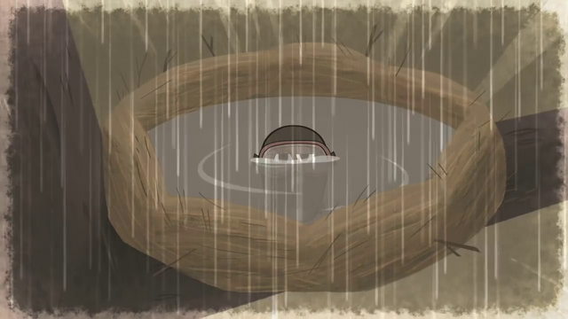 File:BeforeSeriesSuzie3.png