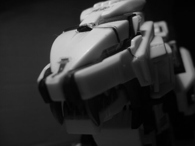 File:Myliger.jpg