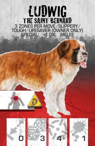 File:Dog Companion Saint Bernard.jpg