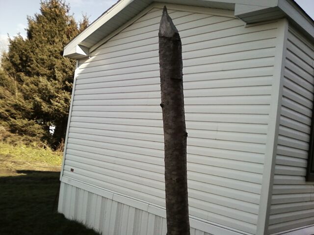 File:Sharpened Stick.jpg