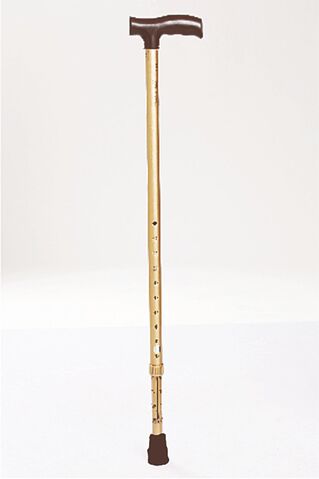 File:Walking-Stick-L-Type.jpg